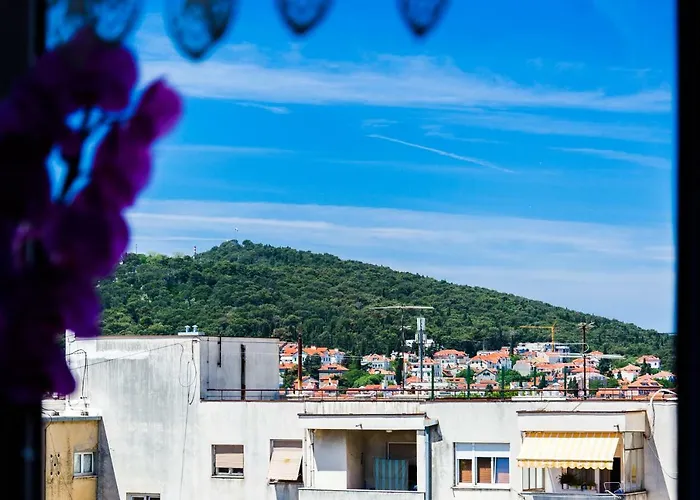 Apartman Agava With Terrace Near Old Town Split