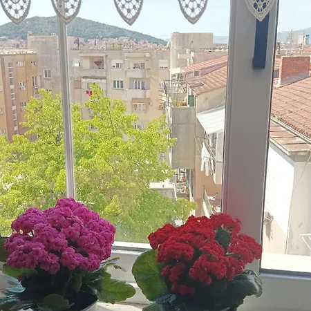 Apartment Agava With Terrace Near Old Town